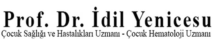 Prof. Dr. İdil Yenicesu